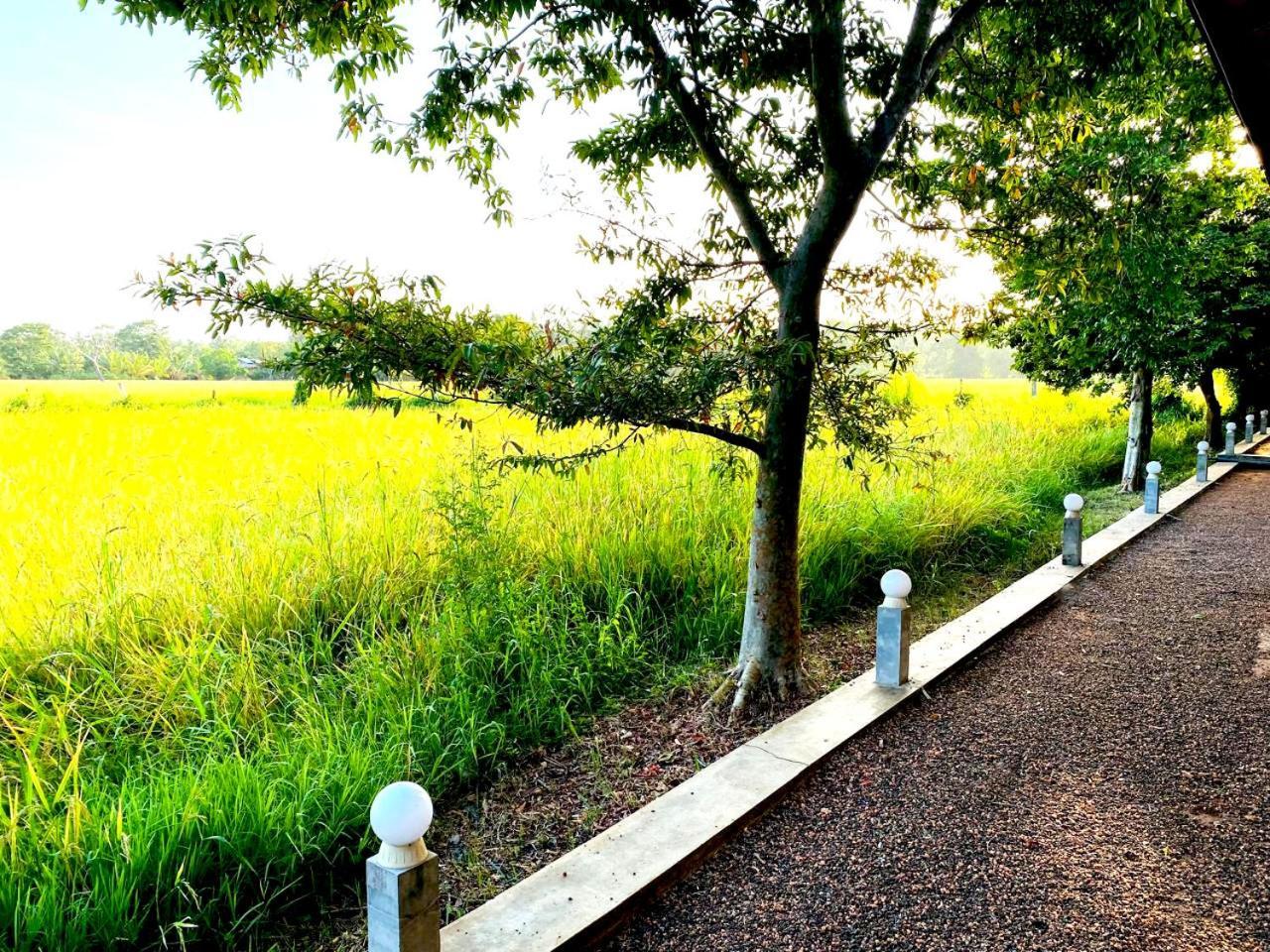 Athyantha Resort Anuradhapura Exterior photo